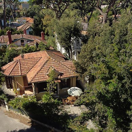 Exclusive Charming Villa - Free Parking 400 Mq Garden - Rome Airport - Roseto Villa Dream Фреджене Екстер'єр фото